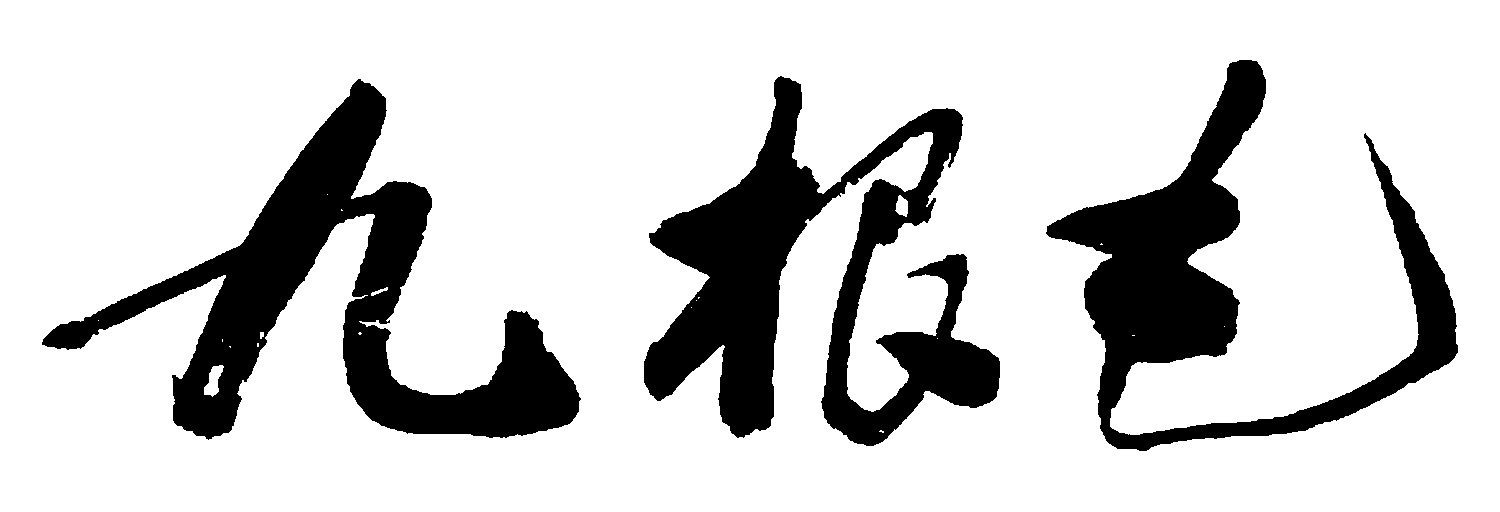 九根毛 艺术字 毛笔字 书法字 繁体 标志设计 