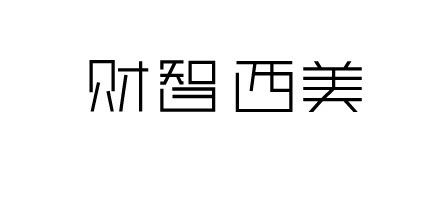 财智西美