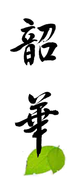 韶华 艺术字 毛笔字 书法字 繁体 标志设计 