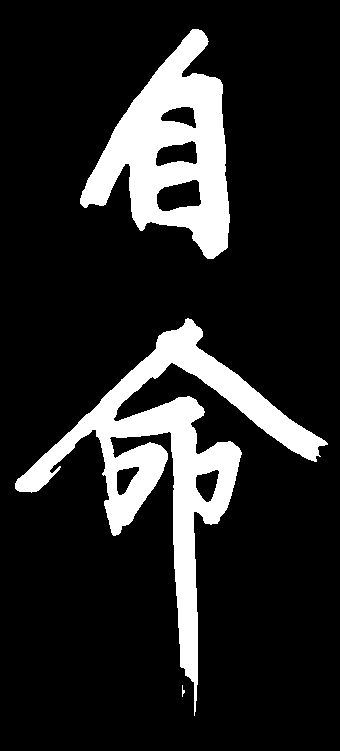 自命 艺术字 毛笔字 书法字 标志设计 