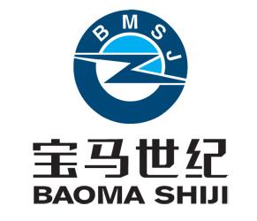 宝马世纪 艺术字 美术字 艺术字 标志设计 标志设计 