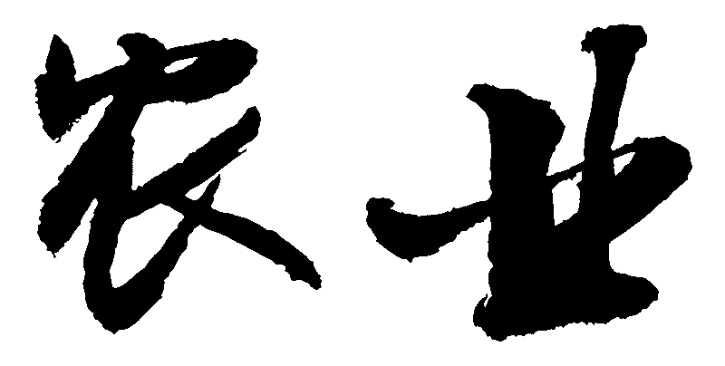 农业 艺术字 毛笔字 书法字 繁体 标志设计 