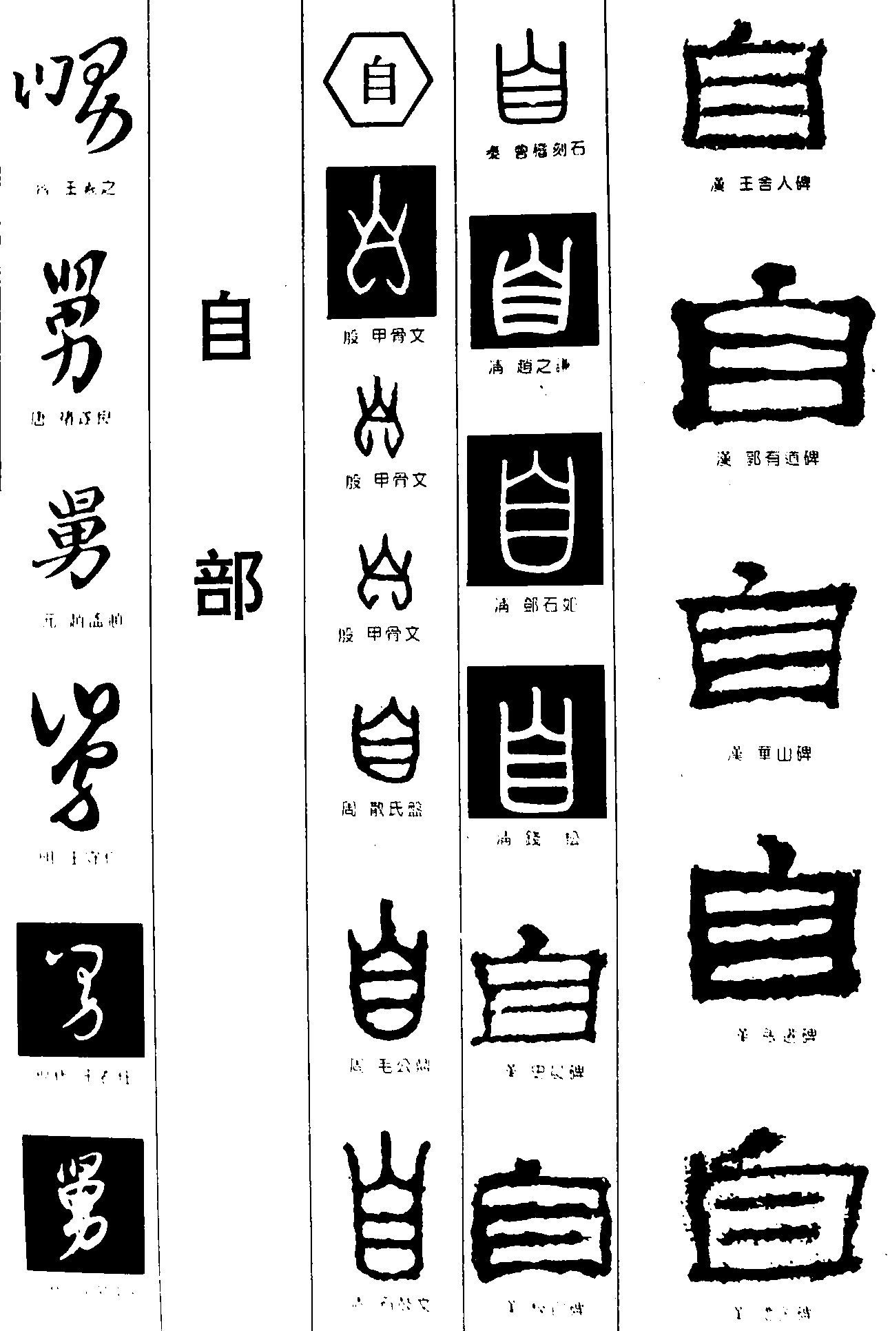舅自 艺术字 毛笔字 书法字 繁体 标志设计 